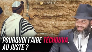 Pourquoi faire Téchouva, au juste ? (Rav Chaoulov)
