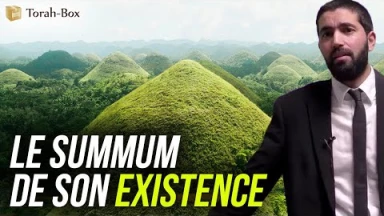 Le summum de son existence