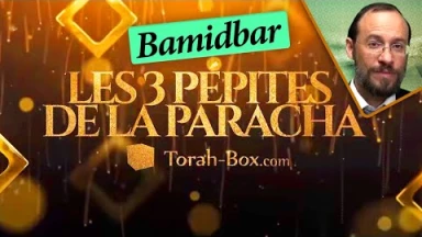 Les 3 Pépites de la Paracha Bamidbar