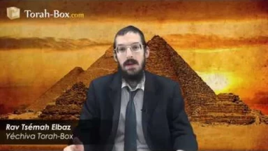 [Vidéo] L'équipe Torah-Box 2014 commente la Haggada !