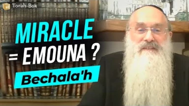 Le Message de la Paracha Bechala'h : Miracle = Emouna ?