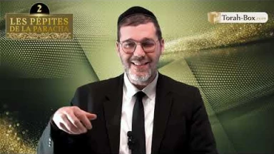 Les 3 Pépites de la Paracha Vayikra