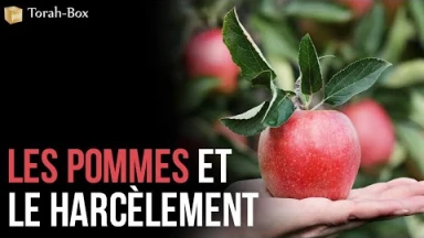 Les pommes et le harcèlement