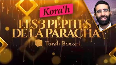 Les 3 Pépites de la Paracha Kora'h