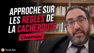 Le Message de la Paracha - Chémini : Approche sur les règles de la Cacheroute