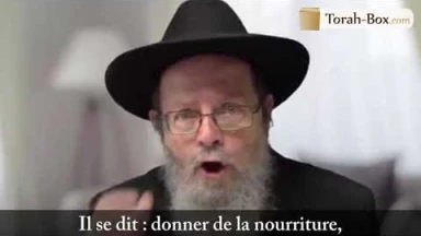 Le geste du soldat américain (Rav Shabtai Slavatiski)