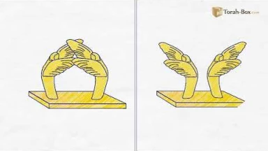 Draw My Paracha : Terouma