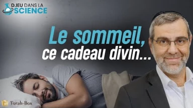Le sommeil, ce cadeau divin...