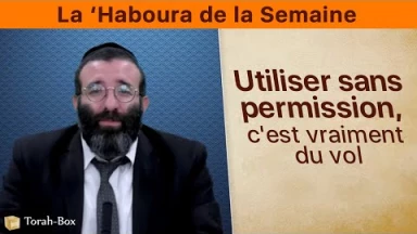 La ‘Haboura de la Semaine : Utiliser sans permission, c'est vraiment du vol