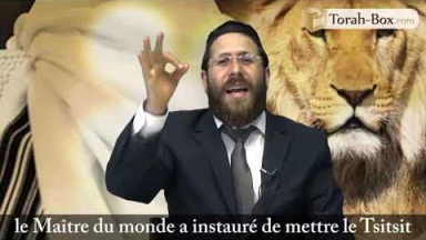 Chéla'h Lekha selon le Or Ha‘haïm