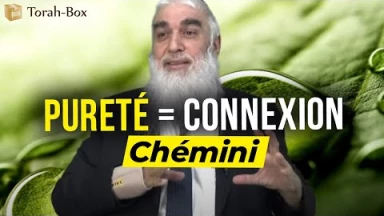 Le message de la Paracha Chémini : Pureté = connexion