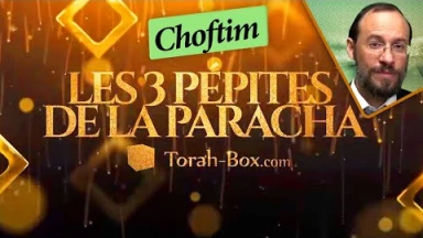 Les 3 Pépites de la Paracha Choftim