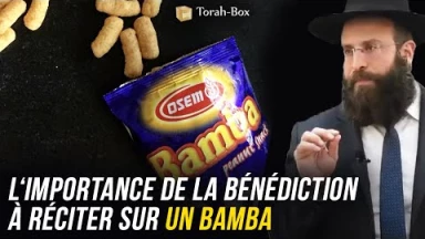 En quoi est-ce important quelle bénédiction réciter sur un Bamba ?