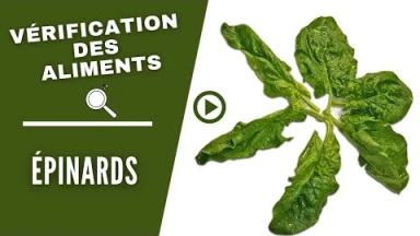 Vérification des aliments : Épinards