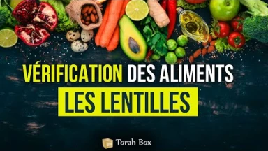 Vérification des aliments : les lentilles