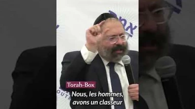 Gaufres vs Spaghettis : Comprendre les différences entre hommes et femmes