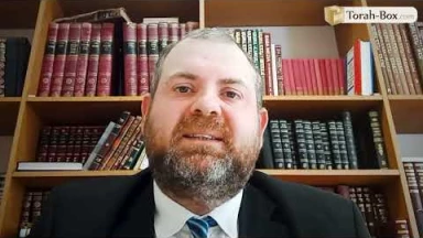 Message de la Paracha Réé : Parlons libre arbitre & Émouna