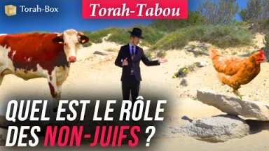Torah-Tabou : Quel est le rôle des non-Juifs ?