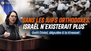 "Sans les Juifs orthodoxes, Israël n'existerait déjà plus"
