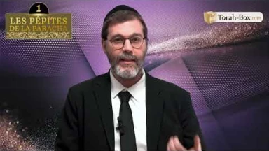 Les 3 Pépites de la Paracha Vayéra