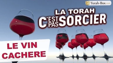 La Torah, c'est pas sorcier - Le Vin Cachère