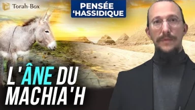 L'âne du Machia'h
