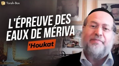 Message de la Paracha - 'Houkat : L'épreuve des eaux de Mériva
