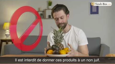 La Chémita dans tous ses états - Comment consommer les fruits "Kadoch" ?