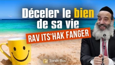 Déceler le bien de sa vie (Rav Fanger)