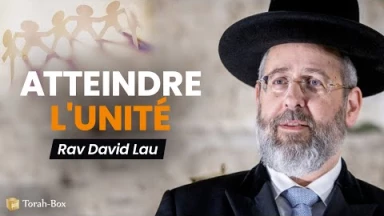 Atteindre l'unité - Rav Lau