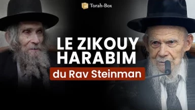 Le Zikouï Harabim du Rav Steinman