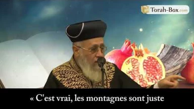 [Vidéo] "L'avion du Rav Ovadia s'écrasait..."