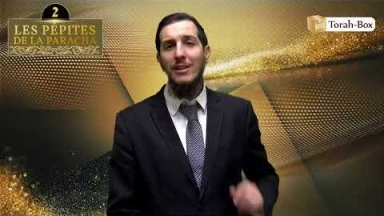Les 3 Pépites de la Paracha Chémini