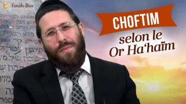 Choftim selon le Or Ha‘haïm