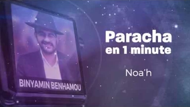 La Paracha en 1 minute : Noa'h (new look !)