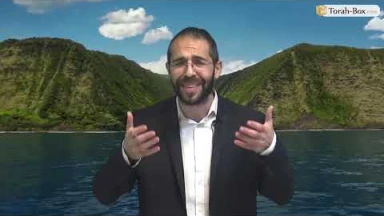 Vision 'Hassidique de la Paracha - Ki-Tissa