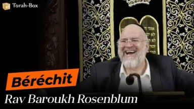 Berechit avec Rav Rosenblum