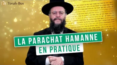 La Parachat Hamanne en pratique