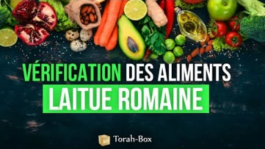 Vérification des aliments : Laitue romaine
