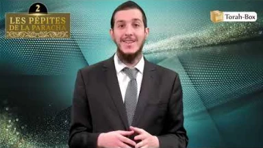 Les 3 Pépites de la Paracha Yitro
