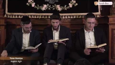 Kinot de Ticha Béav n°24 : Yona Homiya / יוֹנָה הוֹמִיָּה