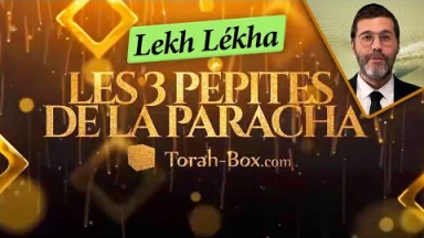 Les 3 Pépites de la Paracha Lekh Lékha