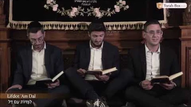 Kinot de Ticha Béav n°2 : Lou Yichkélou Ré'aï / לוּ יִשְׁקְלוּ רֵעָי