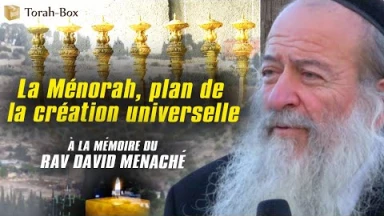 La Ménorah, plan de la création universelle - En mémoire du Rav David Menaché