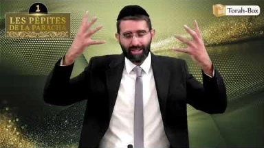 Les 3 Pépites de la Paracha Vézot Haberakha