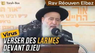 Virus : versez des larmes devant D.ieu (Rav Réouven Elbaz)
