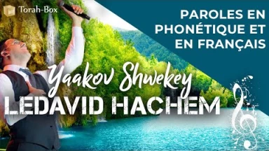 Musique : la chanson "Ledavid Hachem" de Yaakov Shwekey