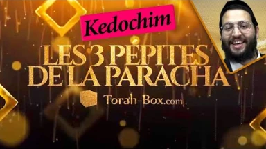 Les 3 Pépites de la Paracha Kedochim