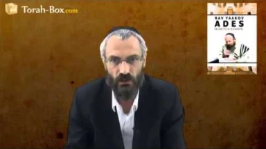 Le livre du Rav Adès : "quelle sainteté, quelle énergie nouvelle !"