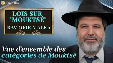 Lois sur Mouktsé - Vue d'ensemble des catégories de Mouktsé